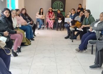 auxiliares de la educacion